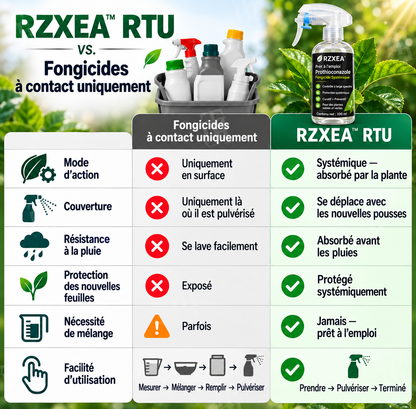RZXEA™ Prêt à l'emploi Fongicide Systémique à Base de Prothioconazole