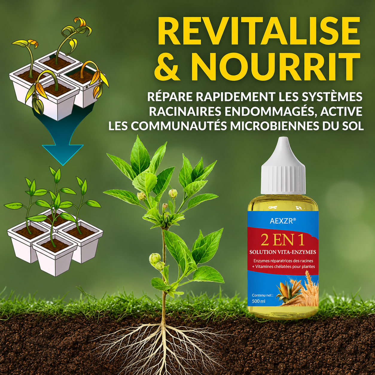 AEXZR® 2 en 1 Solution Vita-Enzymes