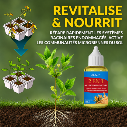 AEXZR® 2 en 1 Solution Vita-Enzymes