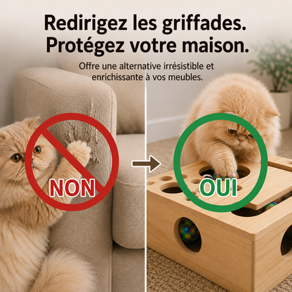 🐾 Fini la Bataille des Griffes | AEXZR® Boîte à Griffer d'auto-Toilettage ClawMaze