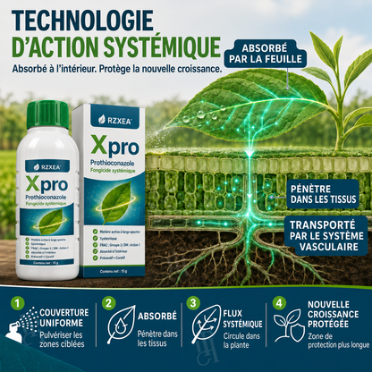RZXEA™  Xpro Prothioconazole Fongicide Systémique