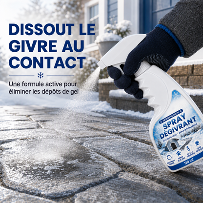 ⭐ Spray dégivrant et déneigeant pour l’extérieur – respectueux des animaux, dissout le givre au contact. Dégagez rapidement marches, allées et terrasses ! 🛡️✅