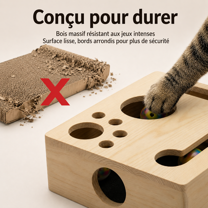 🐾 Fini la Bataille des Griffes | AEXZR® Boîte à Griffer d'auto-Toilettage ClawMaze