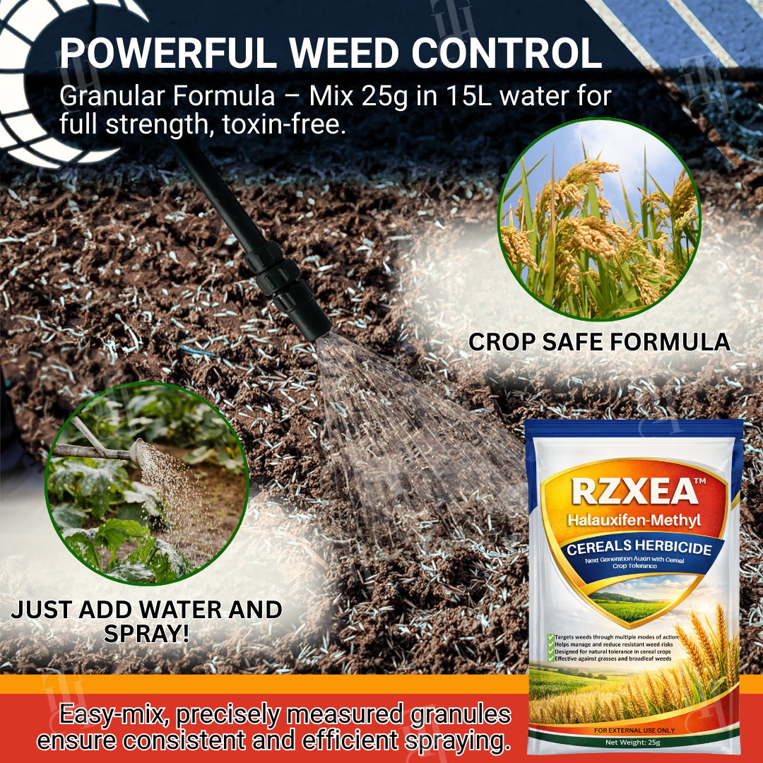 RZXEA™  herbicide à base d'halauxifène-méthyle pour céréales