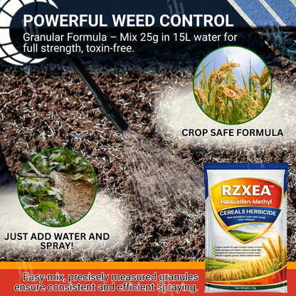 RZXEA™  herbicide à base d'halauxifène-méthyle pour céréales