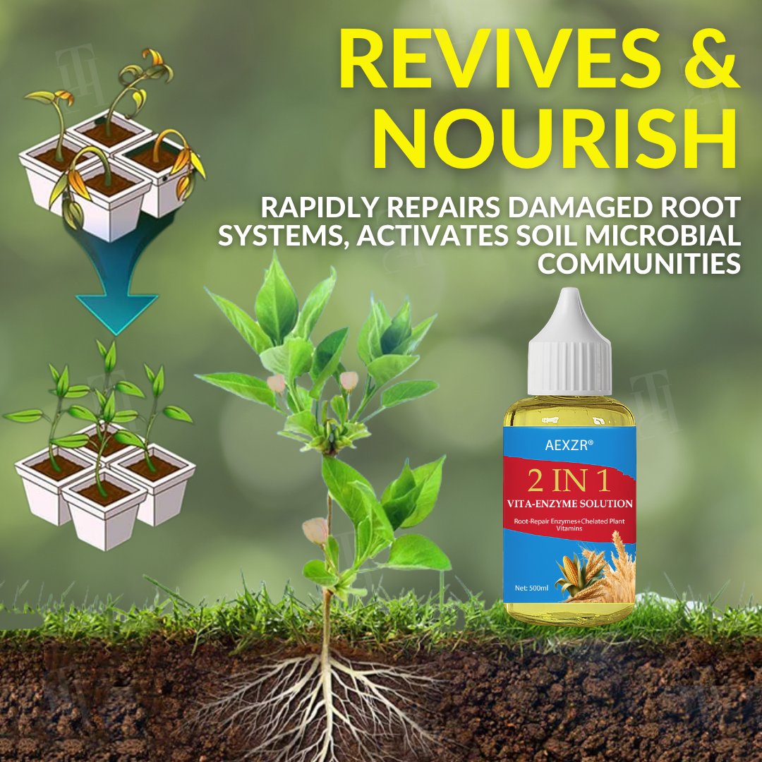 AEXZR® : solution 2 en 1 Vita-Enzyme