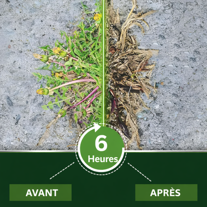 🌿 Éliminez les Mauvaises Herbes en 6 Heures, Pas en Quelques Jours | AEXZR® 2 in 1 Herbicide Ultra-Puissant