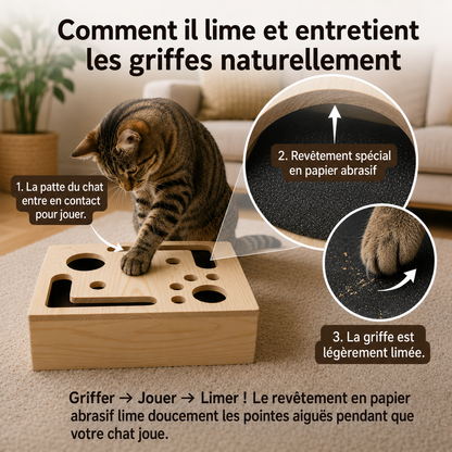 🐾 Fini la Bataille des Griffes | AEXZR® Boîte à Griffer d'auto-Toilettage ClawMaze