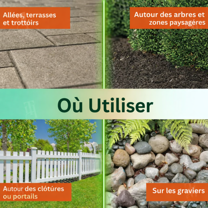 🌿 Éliminez les Mauvaises Herbes en 6 Heures, Pas en Quelques Jours | AEXZR® 2 in 1 Herbicide Ultra-Puissant