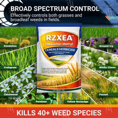 🌟 Boutique officielle | RZXEA™ - Herbicide à base d'halauxifène-méthyle pour céréales