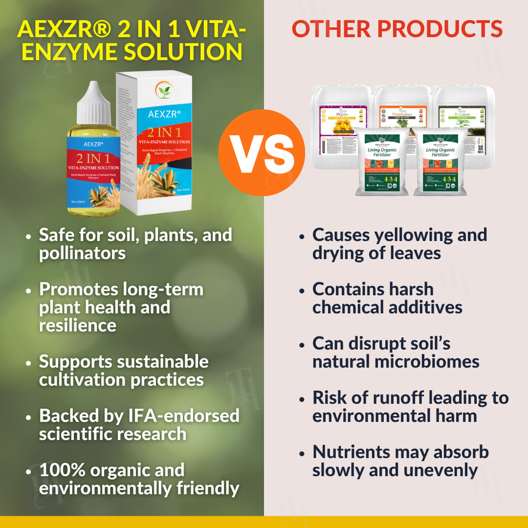 AEXZR® : solution 2 en 1 Vita-Enzyme