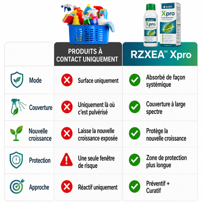 RZXEA™  Xpro Prothioconazole Fongicide Systémique