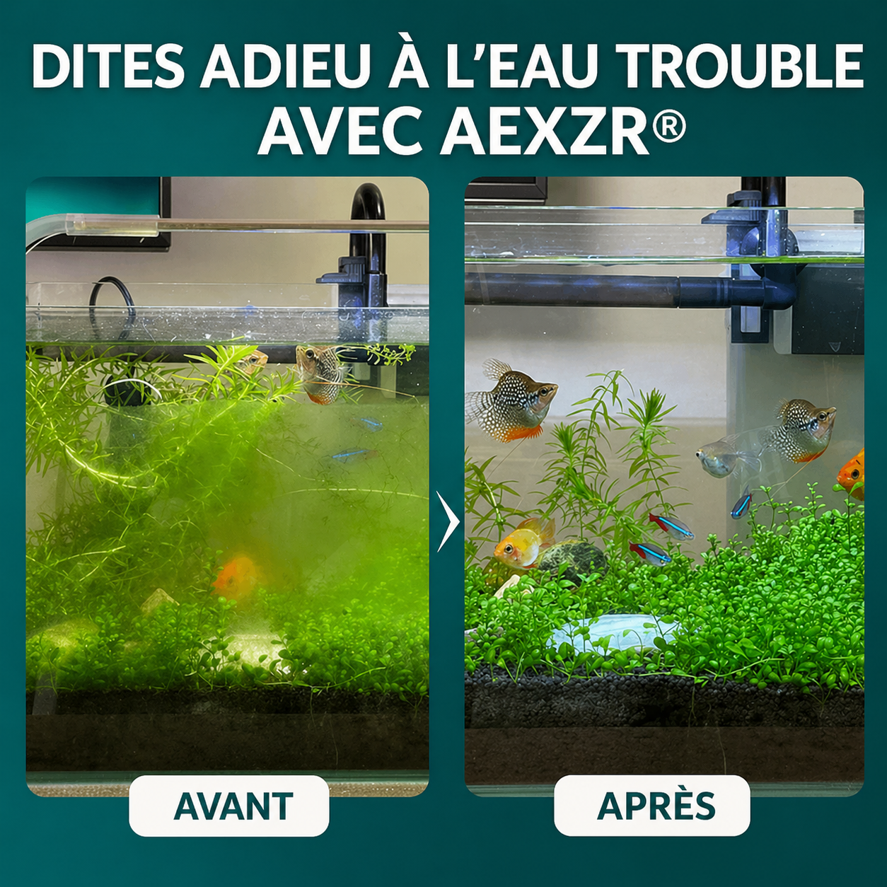 AEXZR® Aquariums Mélange Aqua-Guardian