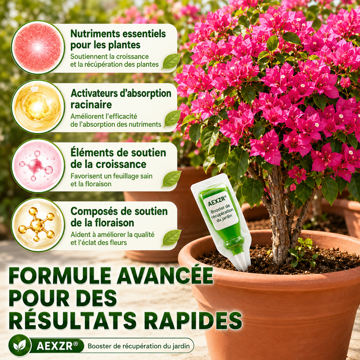 ⭐ AEXZR® Booster de récupération du jardin