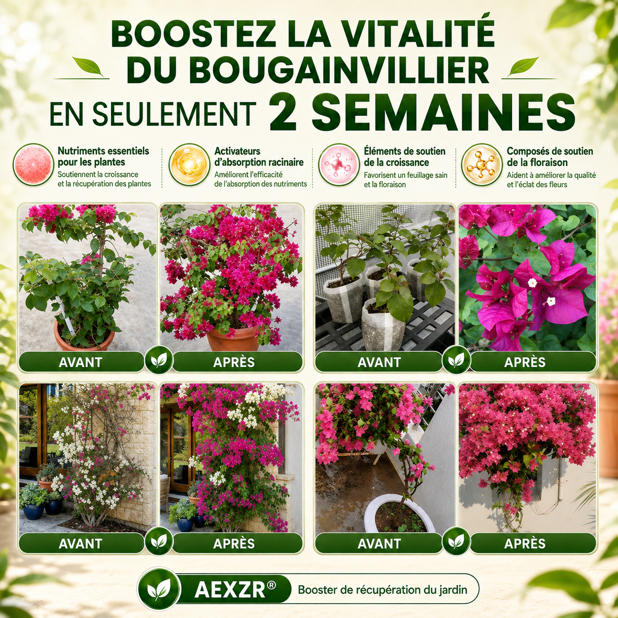 ⭐ AEXZR® Booster de récupération du jardin