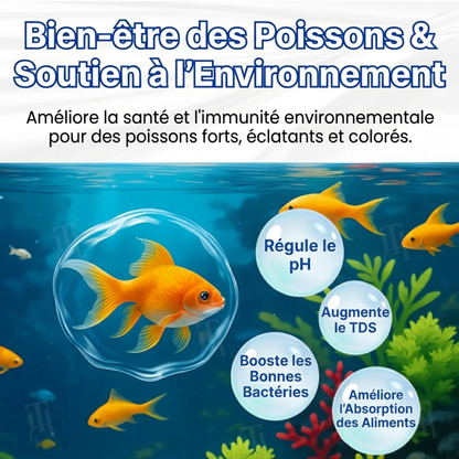 🧬 Élimine l'eau verte en 24 h | 100 % sans danger pour les poissons (formule biologique) AEXZR® Aqua-Guardian Pro