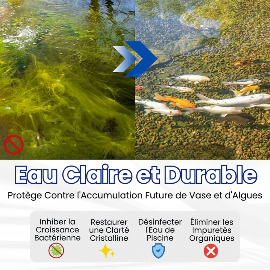 🧬 Élimine l'eau verte en 24 h | 100 % sans danger pour les poissons (formule biologique) AEXZR® Aqua-Guardian Pro