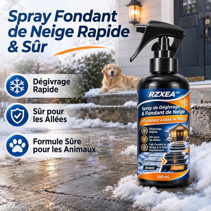 RZXEA™ MgCl₂ : spray de dégivrage et de fonte de neige pour l'extérieur