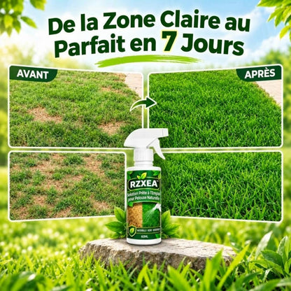 RZXEA™ Solution de pelouse naturelle prête à l'emploi