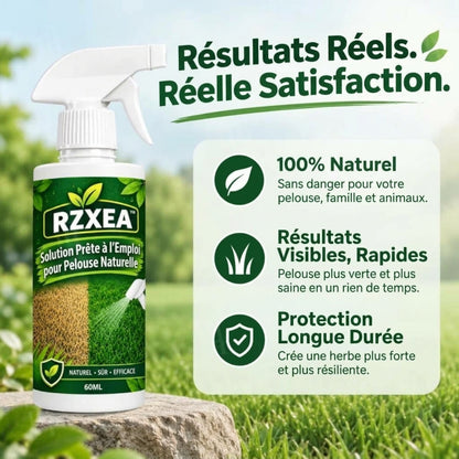 RZXEA™ Solution de pelouse naturelle prête à l'emploi