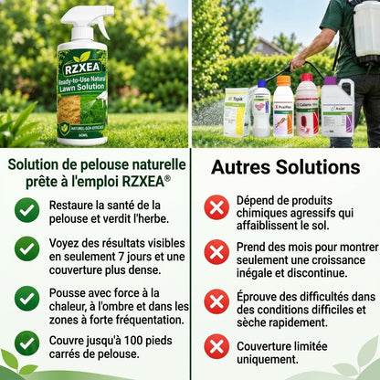 RZXEA™ Solution de pelouse naturelle prête à l'emploi