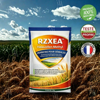 RZXEA™  herbicide à base d'halauxifène-méthyle pour céréales