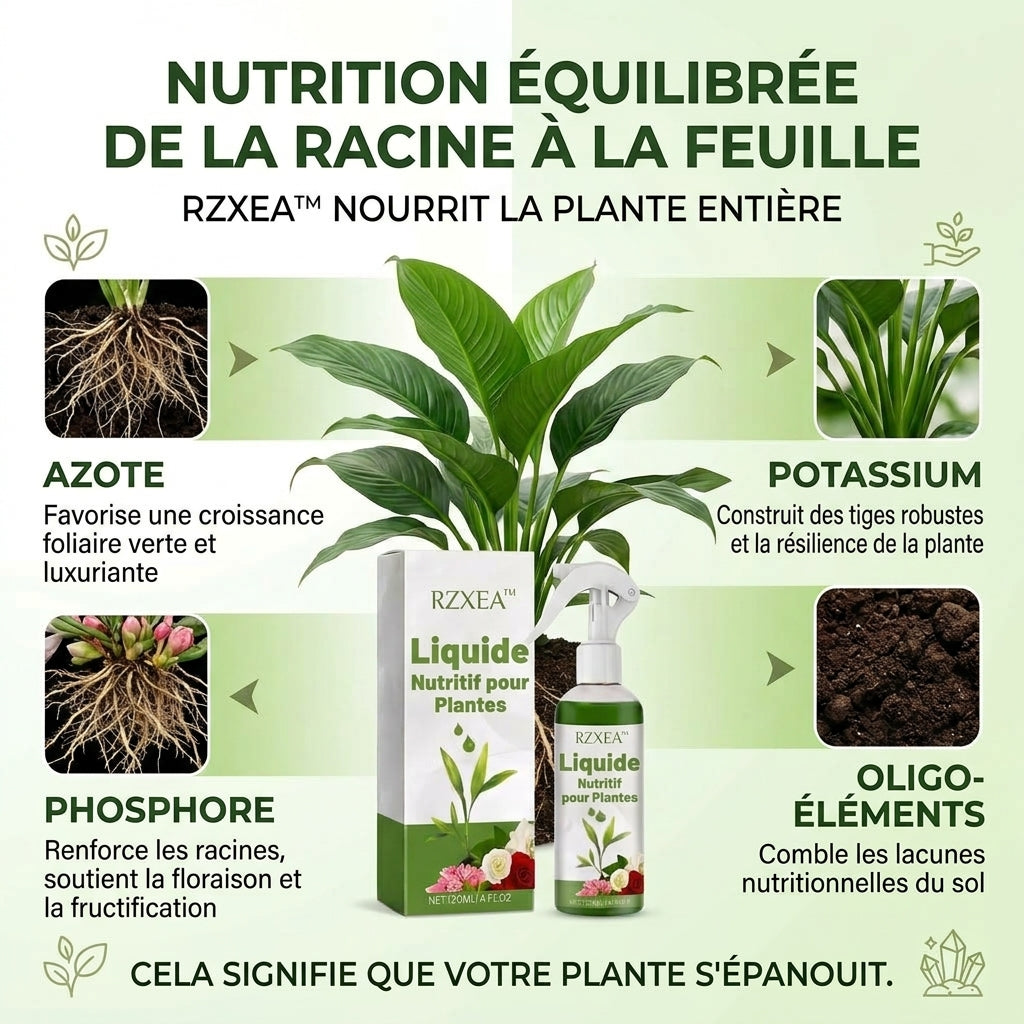 ⭐ RZXEA™ Solution Nutritive Pour Plantes Prête à L'Emploi