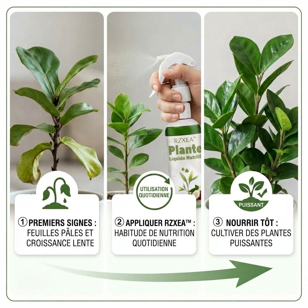 ⭐ RZXEA™ Solution Nutritive Pour Plantes Prête à L'Emploi