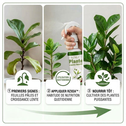 ⭐ RZXEA™ Solution Nutritive Pour Plantes Prête à L'Emploi