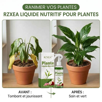 ⭐ RZXEA™ Solution Nutritive Pour Plantes Prête à L'Emploi