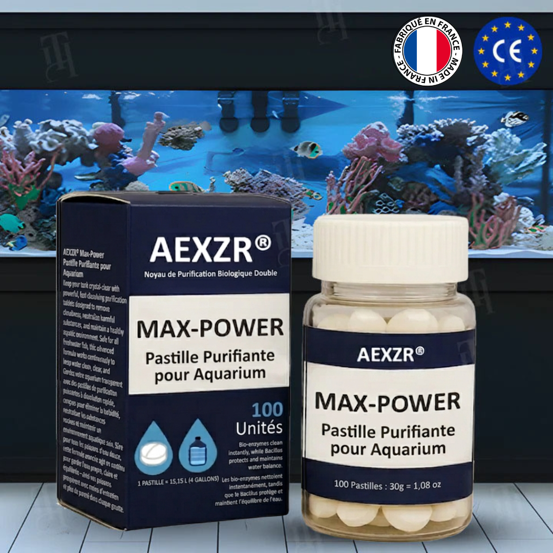 2 pièces - 💰50 % de réduction💰