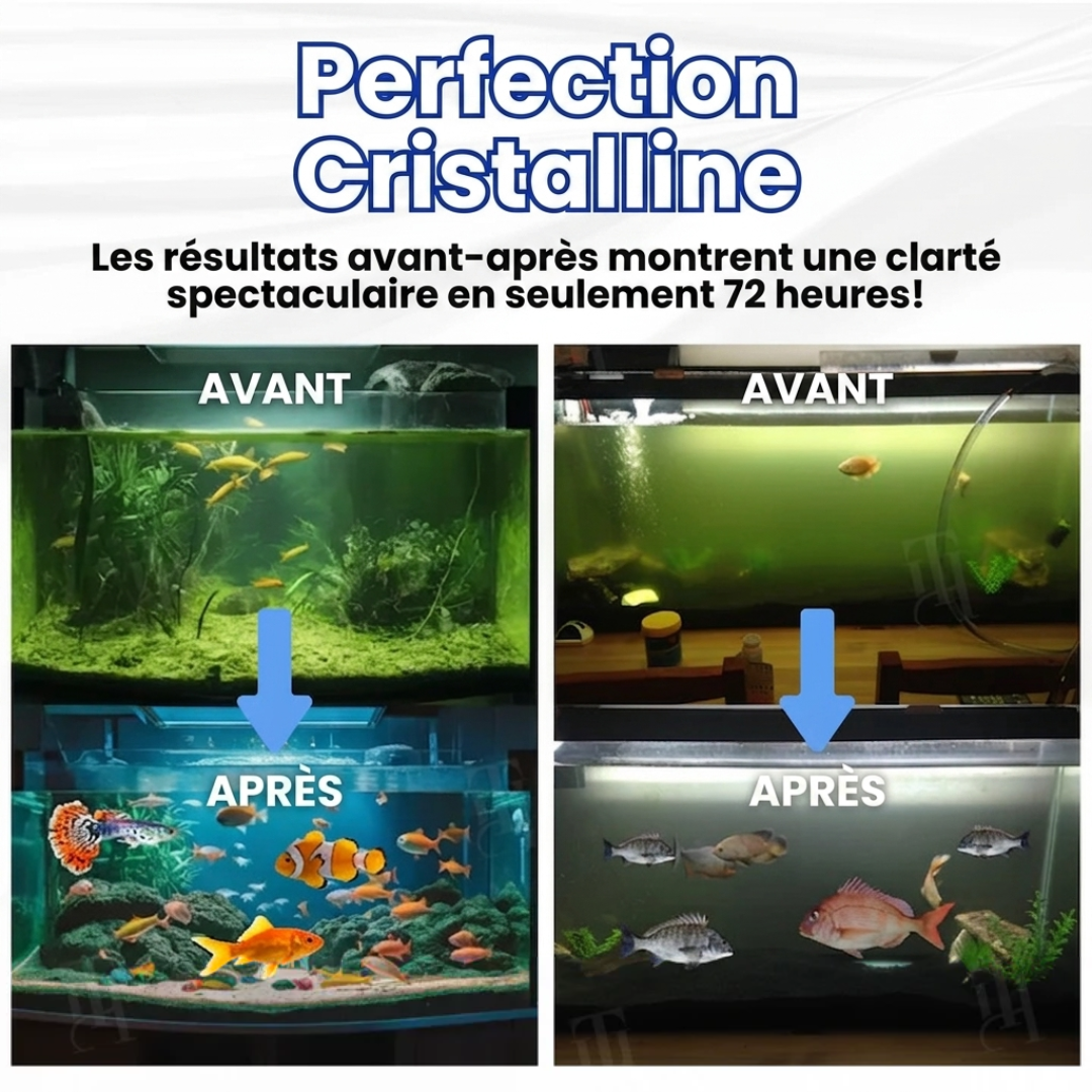 🌊 Eau Cristalline & Poissons Sains en 72h |  AEXZR® Max-Power Pastille Purifiante pour Aquarium