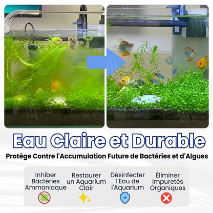 🌊 Eau Cristalline & Poissons Sains en 72h |  AEXZR® Max-Power Pastille Purifiante pour Aquarium