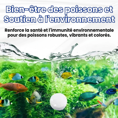 🌊 Eau Cristalline & Poissons Sains en 72h |  AEXZR® Max-Power Pastille Purifiante pour Aquarium