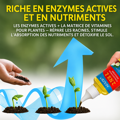 AEXZR® 2 en 1 Solution Vita-Enzymes