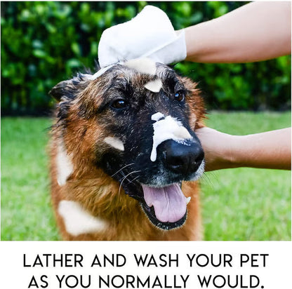 🔥 AEXZR®  Gants de toilettage sans rinçage pour chiens
