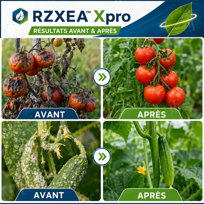 RZXEA™  Xpro Prothioconazole Fongicide Systémique
