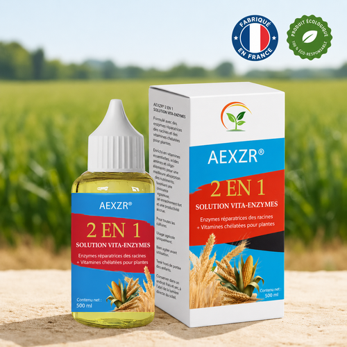 AEXZR® 2 en 1 Solution Vita-Enzymes