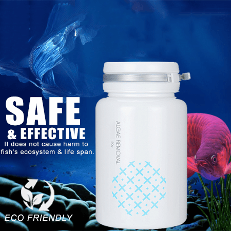 ⭐AEXZR®  Agent anti-algues
