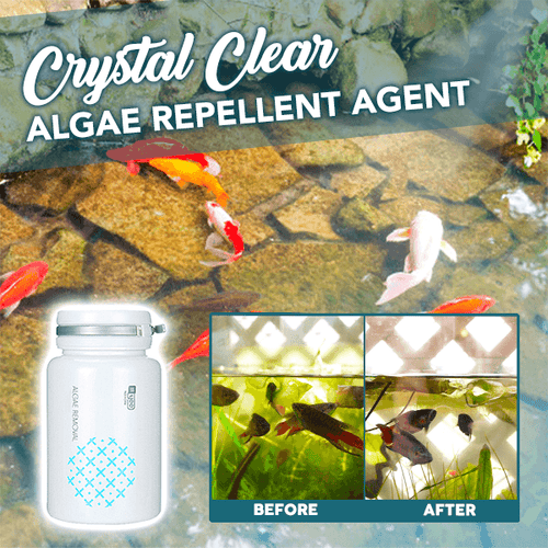 ⭐AEXZR®  Agent anti-algues