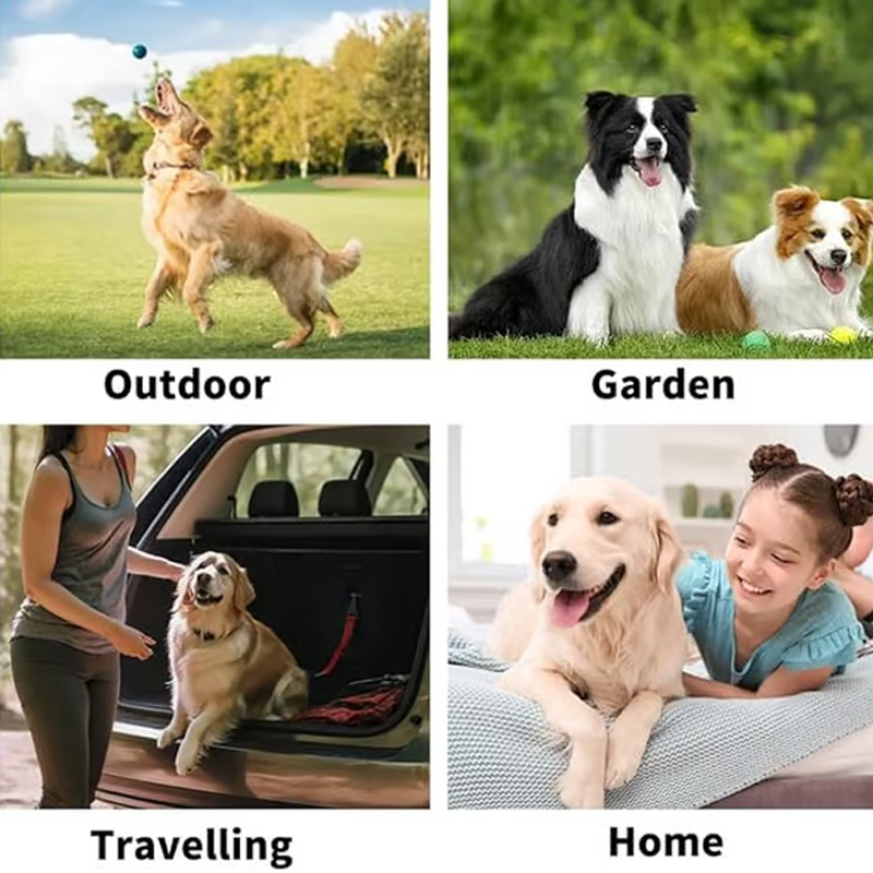 🔥 AEXZR®  Gants de toilettage sans rinçage pour chiens