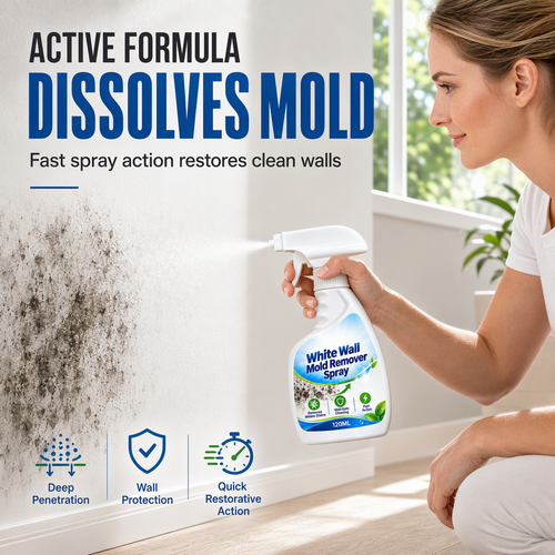 🔥 50% DE RÉDUCTION ! ✨Spray anti-moisissure pour murs à action rapide